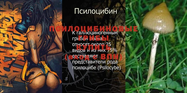 MDMA Premium VHQ Семикаракорск