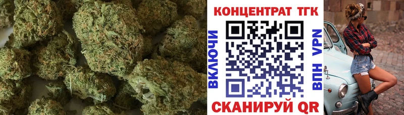 ТГК Wax  Бородино 