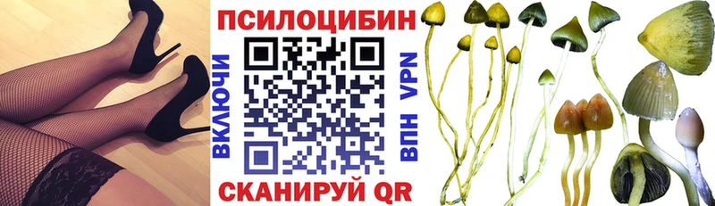 Галлюциногенные грибы мицелий  Бородино 